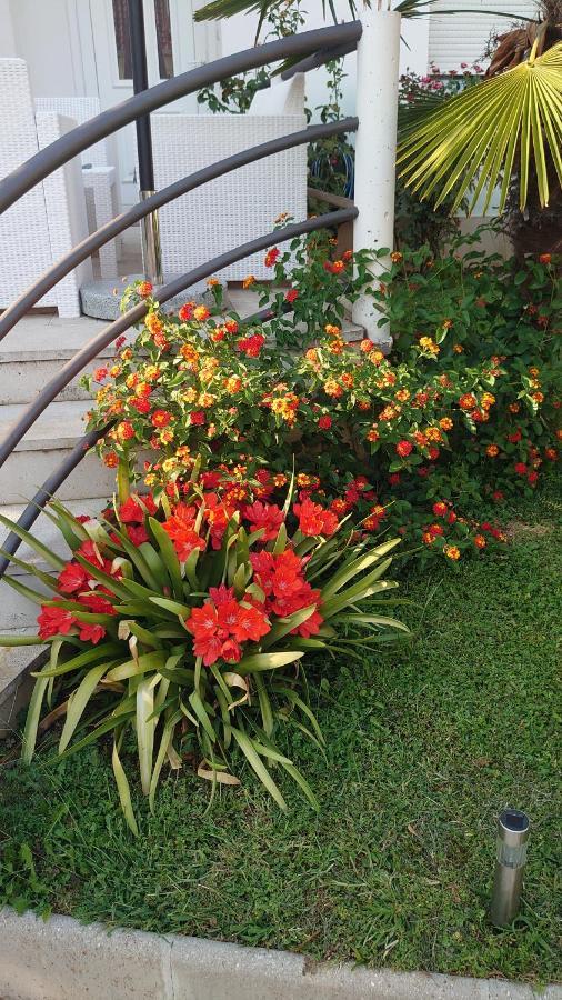 Apartments Tulipan - With Free Private Parking Garage Mostar Buitenkant foto