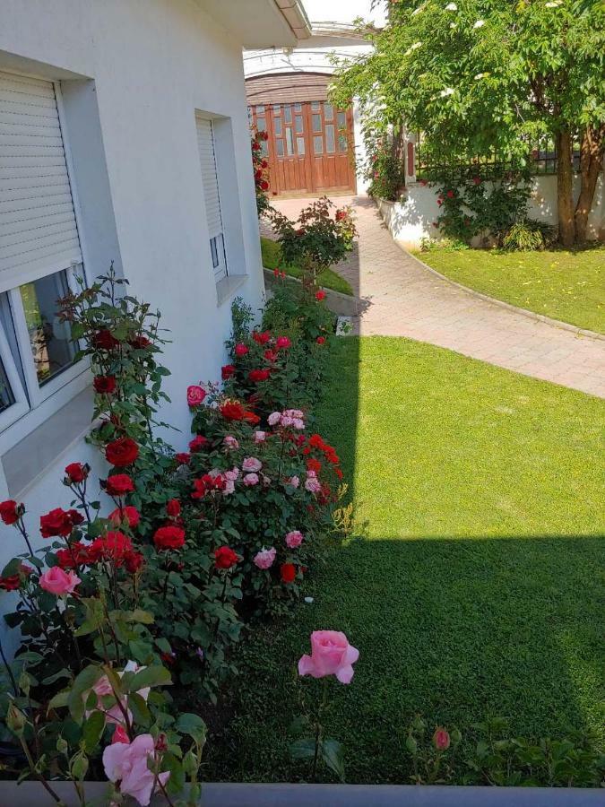 Apartments Tulipan - With Free Private Parking Garage Mostar Buitenkant foto